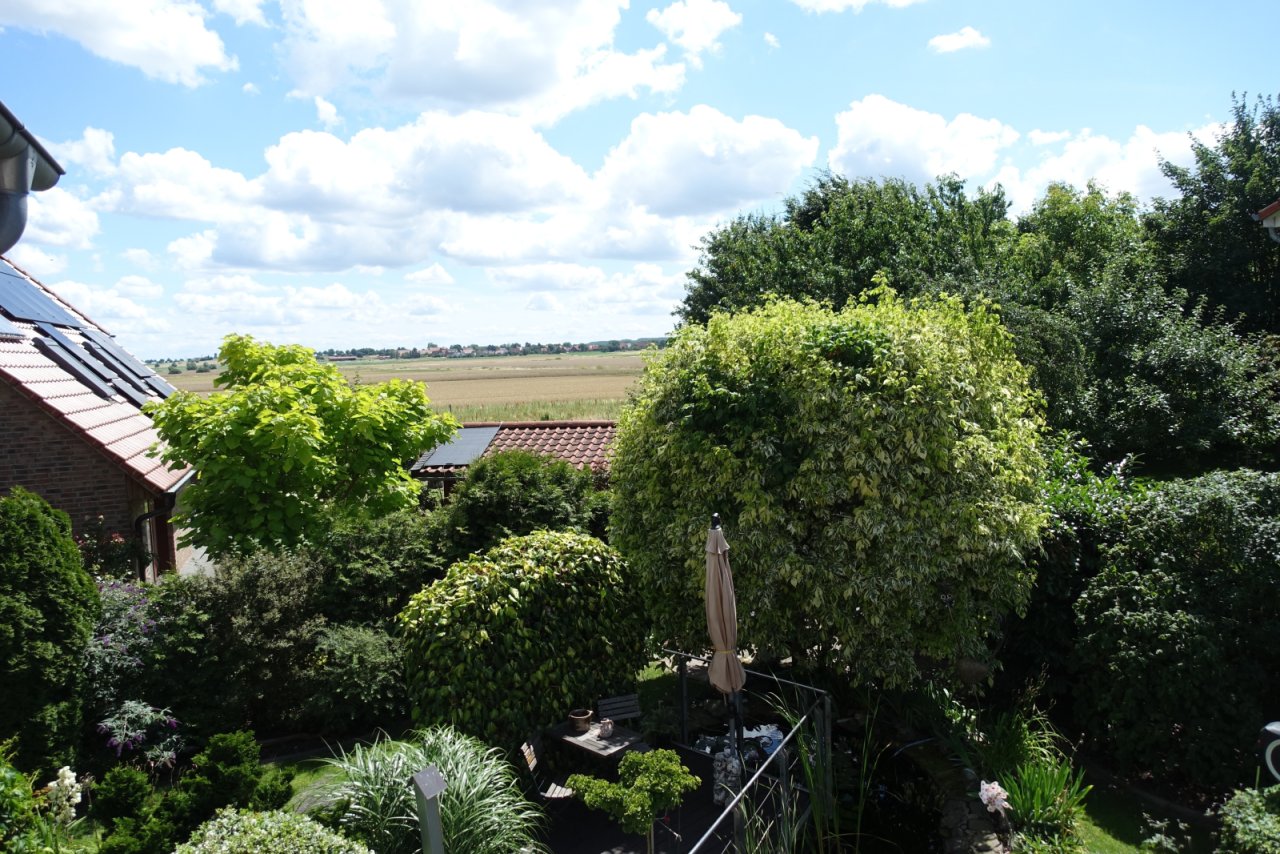 Blick vom Balkon