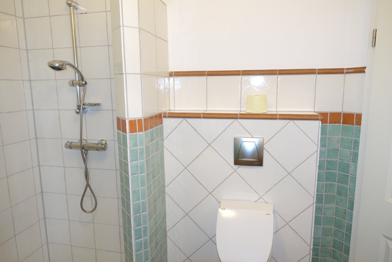 Gäste WC mit Dusche 