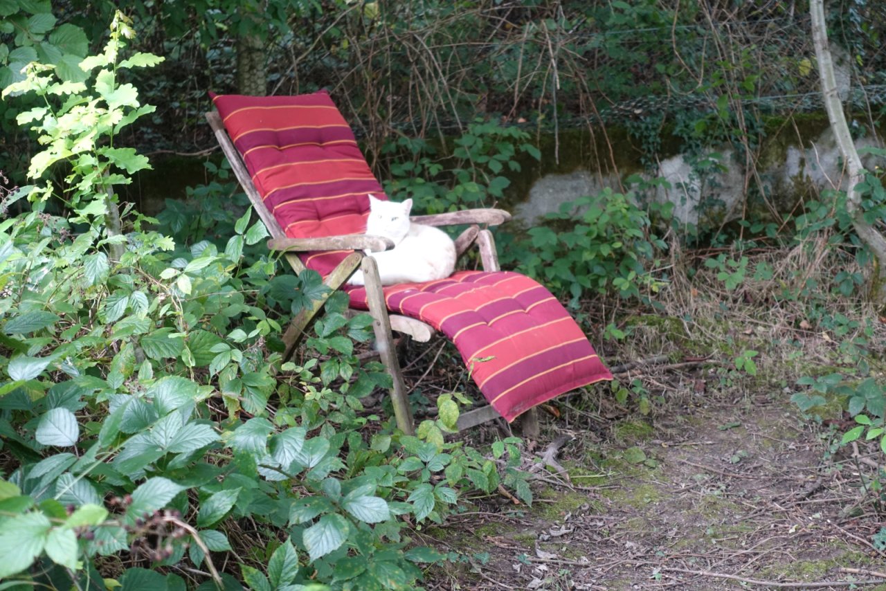 für die kleine Pause zwischendurch