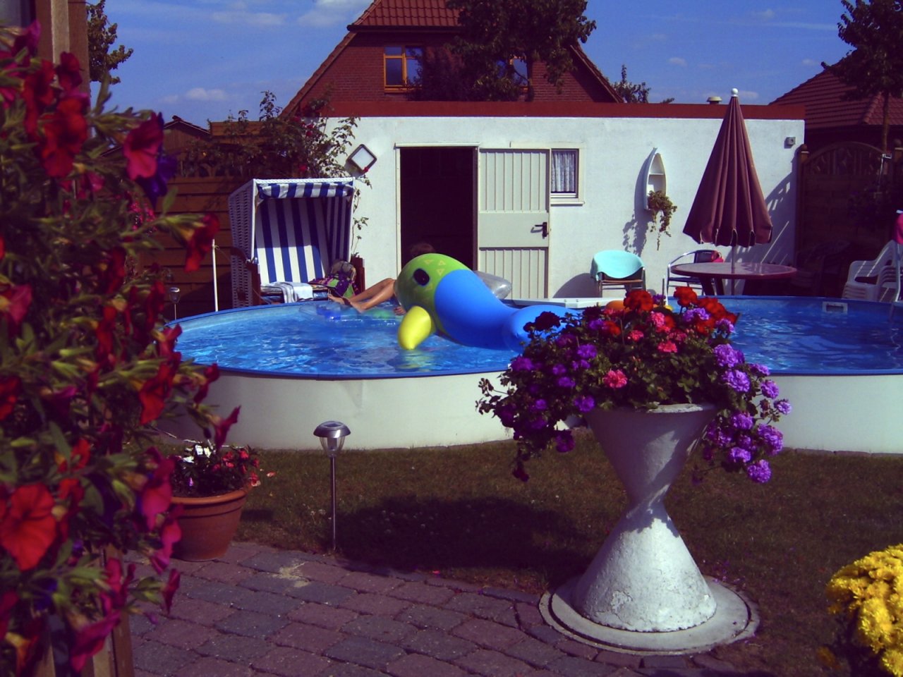 der Pool