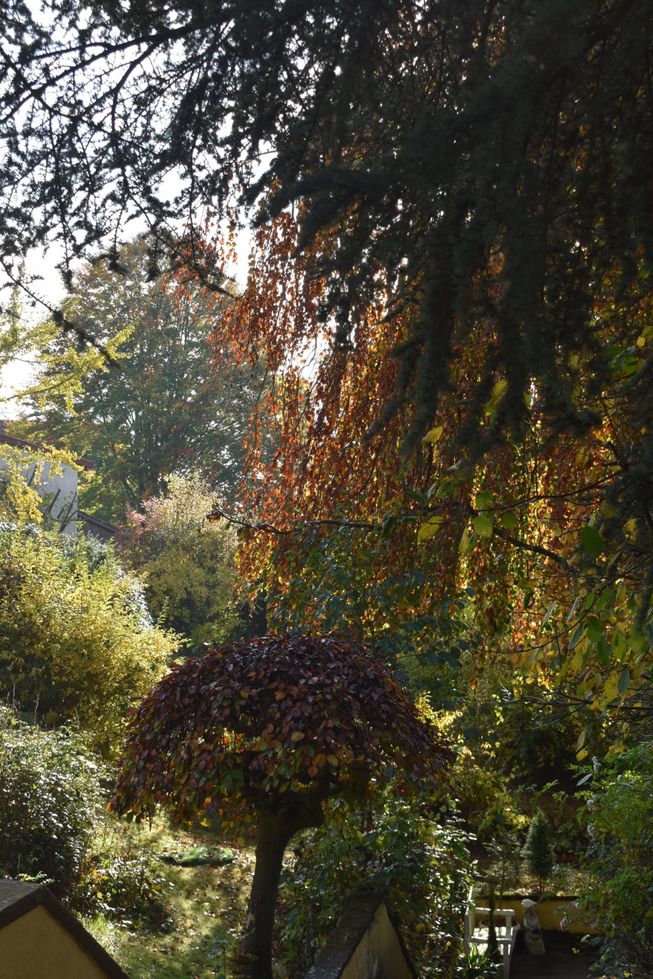 Gartenimpressionen 