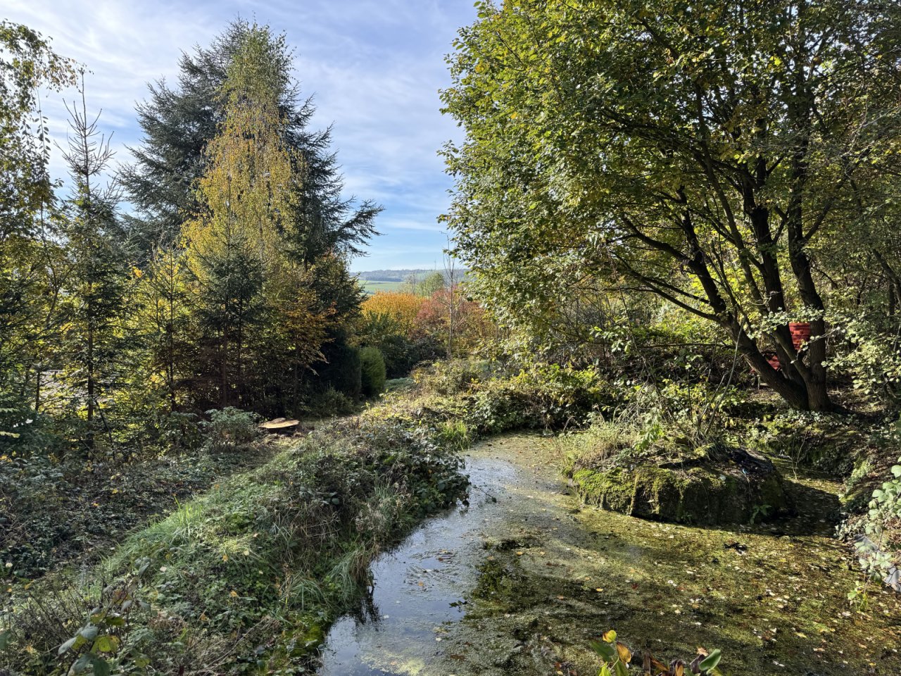 Fernblick im Herbst