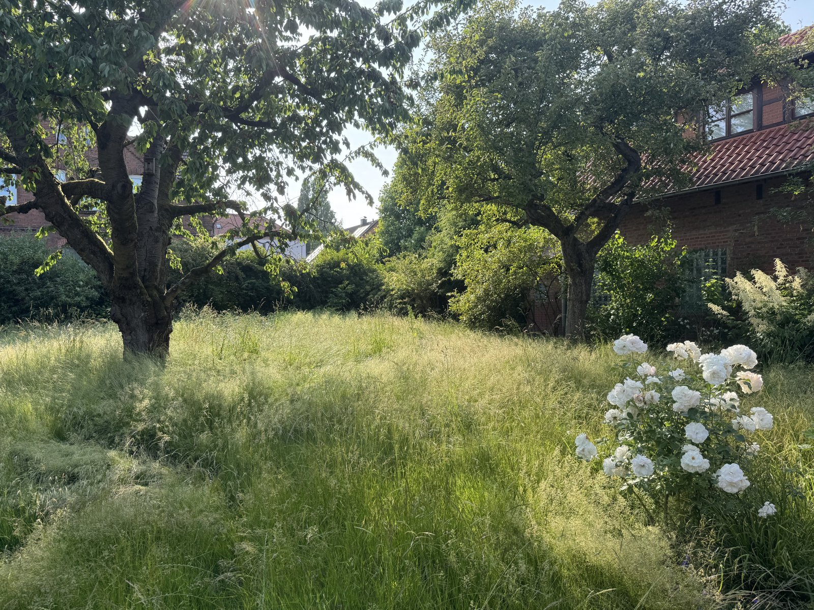 Baugrundstück in gut eingewachsener Nachbarschaft Baugrundstück in gut eingewachsener Nachbarschaft