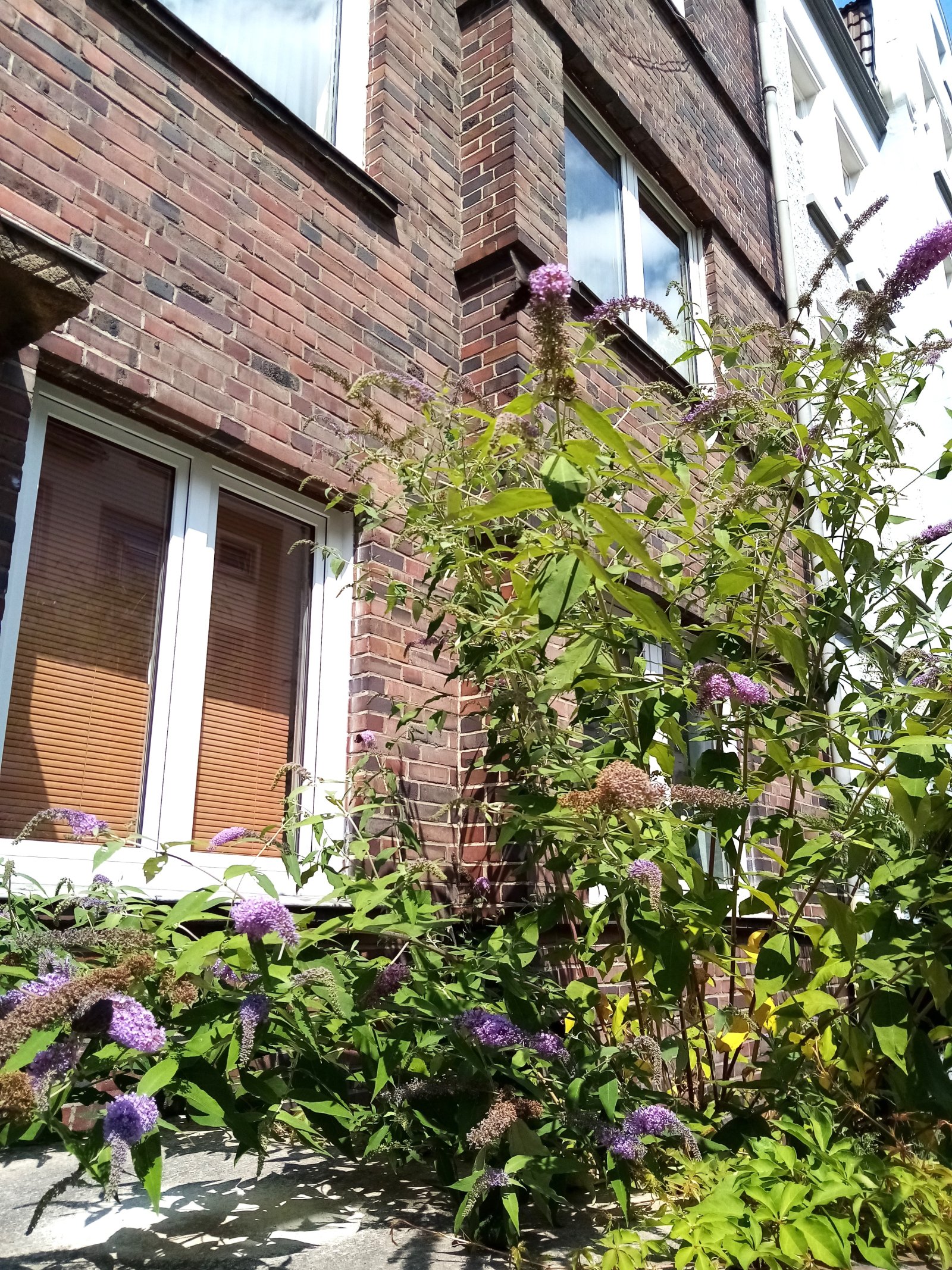 Ruhig wohnen, mitten in Döhren – 3 Zimmer mit Balkon Ruhig wohnen, mitten in Döhren – 3 Zimmer mit Balkon
